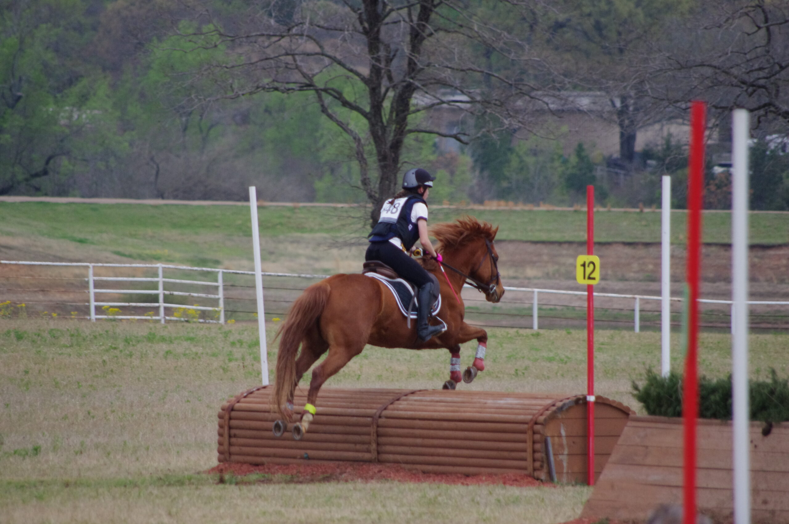 IMGP3832 BCXR Horse Center LLC